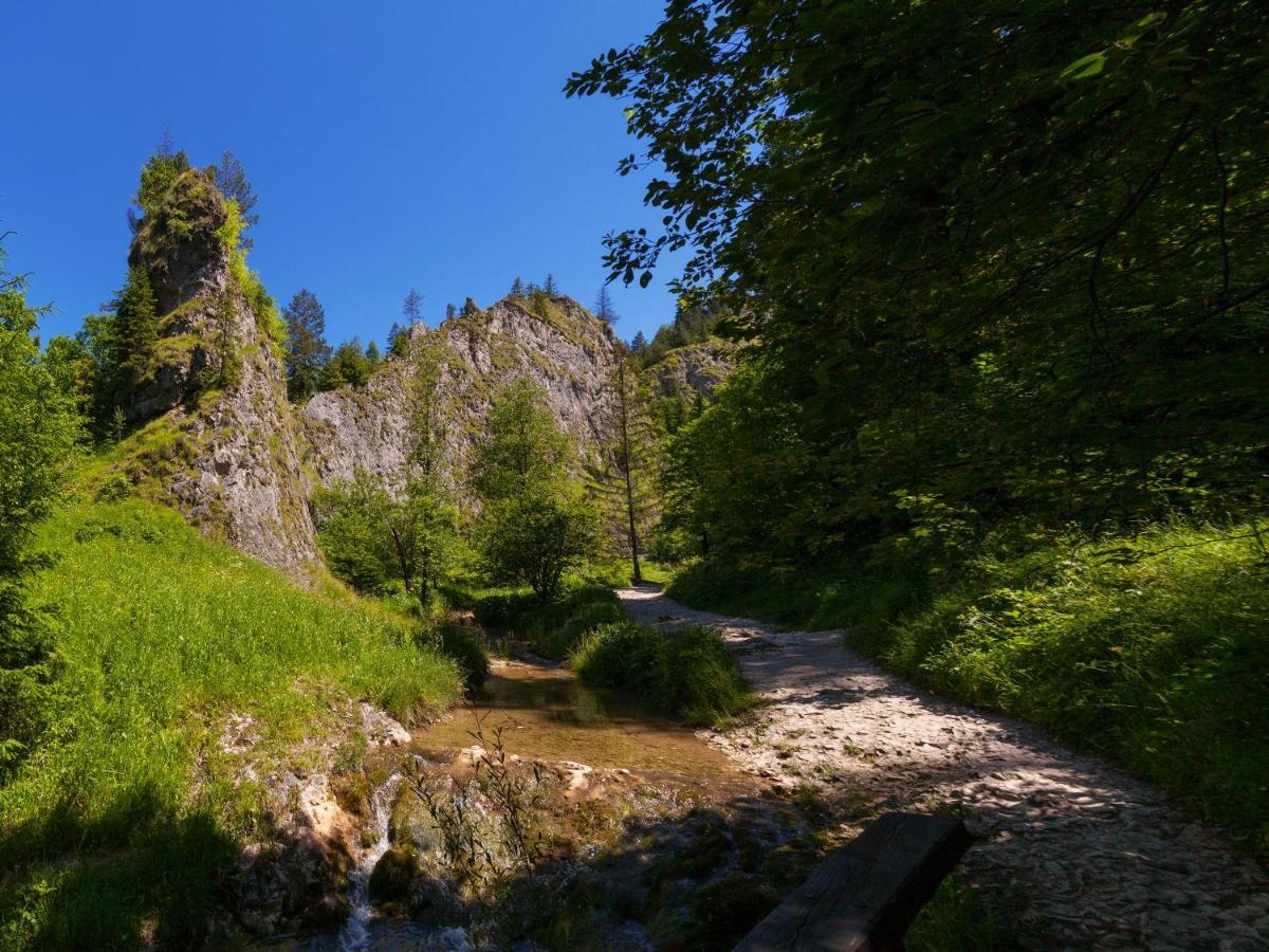 Apartament Na Szczycie Z Sauna I Kominkiem Szczawnica Exterior foto